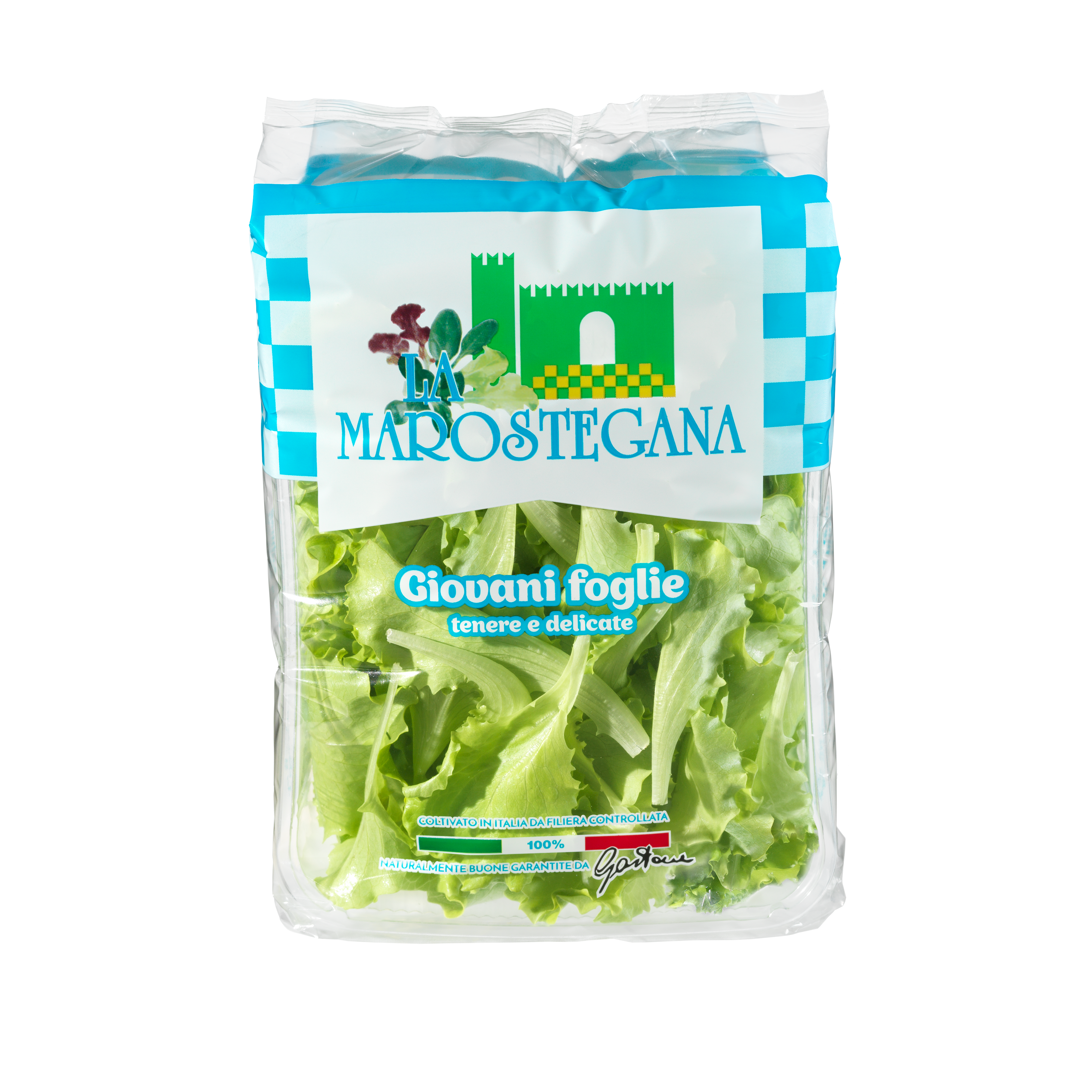 Rucola IV gamma busta - La Marostegana