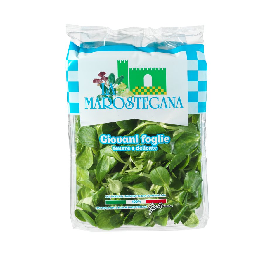 LAMB'S LETTUCE